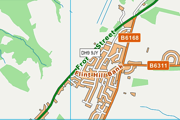 DH9 9JY map - OS VectorMap District (Ordnance Survey)