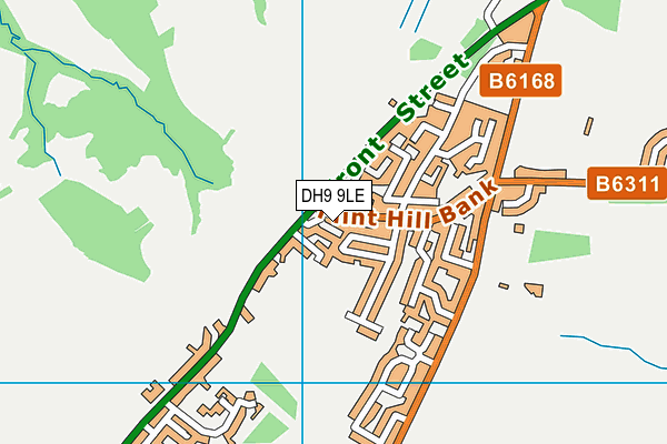 DH9 9LE map - OS VectorMap District (Ordnance Survey)