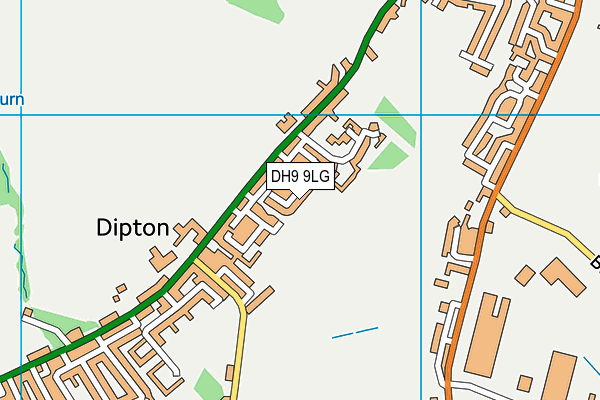 DH9 9LG map - OS VectorMap District (Ordnance Survey)