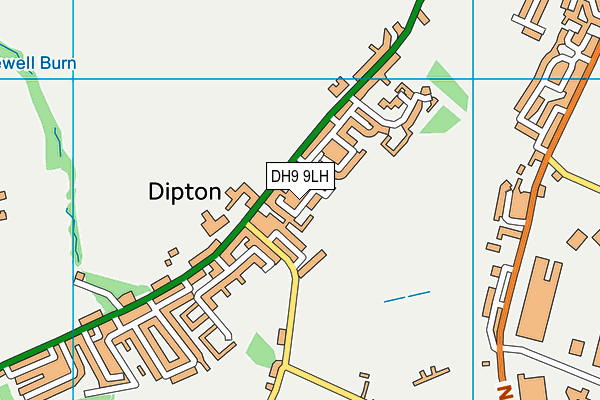DH9 9LH map - OS VectorMap District (Ordnance Survey)