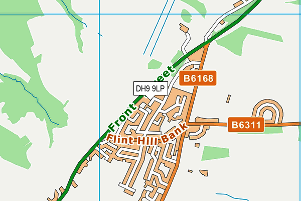 DH9 9LP map - OS VectorMap District (Ordnance Survey)
