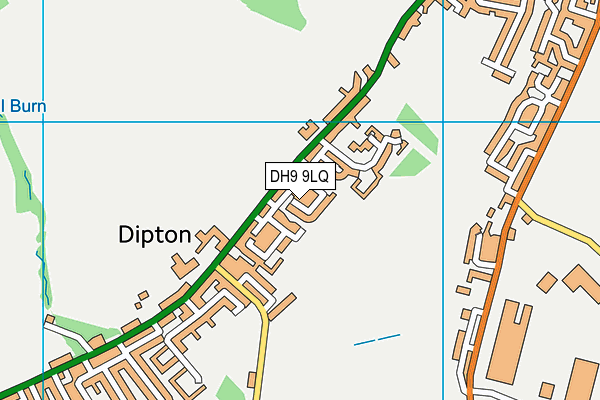 DH9 9LQ map - OS VectorMap District (Ordnance Survey)
