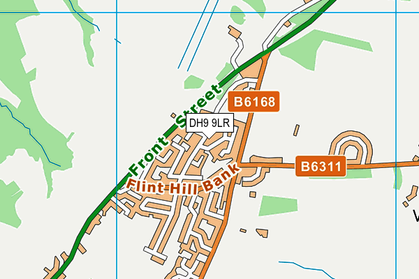 DH9 9LR map - OS VectorMap District (Ordnance Survey)