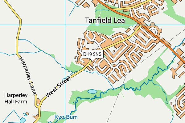 DH9 9NS map - OS VectorMap District (Ordnance Survey)