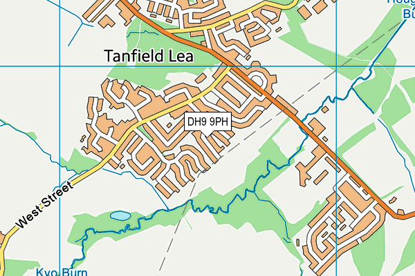 DH9 9PH map - OS VectorMap District (Ordnance Survey)