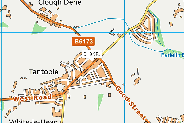 DH9 9PJ map - OS VectorMap District (Ordnance Survey)