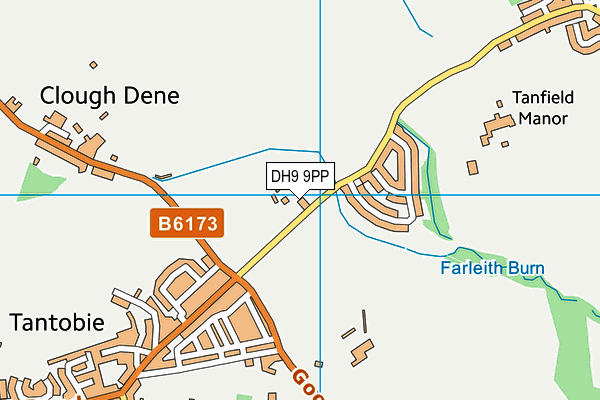 DH9 9PP map - OS VectorMap District (Ordnance Survey)