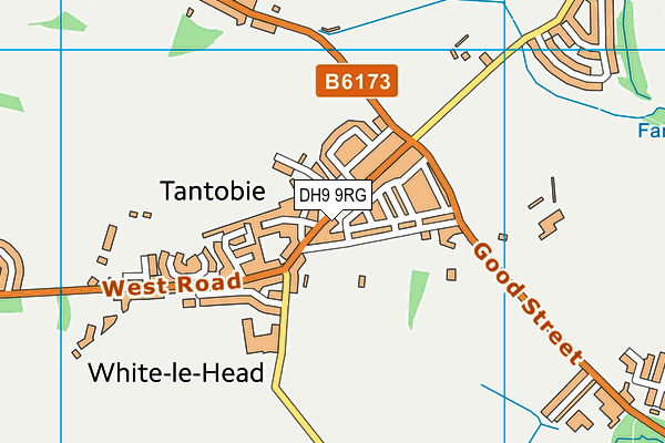 DH9 9RG map - OS VectorMap District (Ordnance Survey)