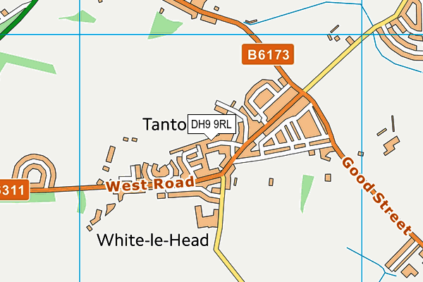 DH9 9RL map - OS VectorMap District (Ordnance Survey)