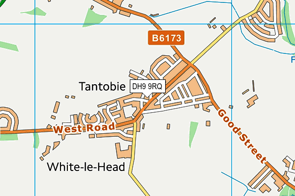 DH9 9RQ map - OS VectorMap District (Ordnance Survey)