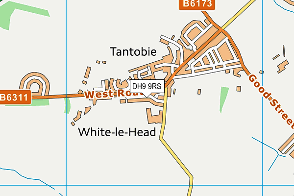 DH9 9RS map - OS VectorMap District (Ordnance Survey)