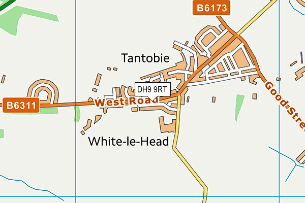 DH9 9RT map - OS VectorMap District (Ordnance Survey)