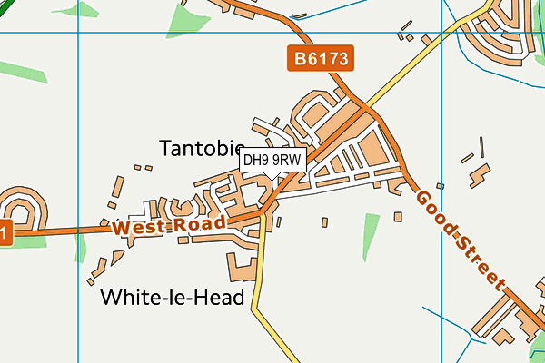 DH9 9RW map - OS VectorMap District (Ordnance Survey)