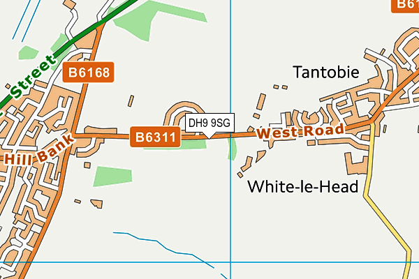 DH9 9SG map - OS VectorMap District (Ordnance Survey)