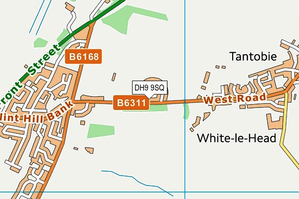 DH9 9SQ map - OS VectorMap District (Ordnance Survey)