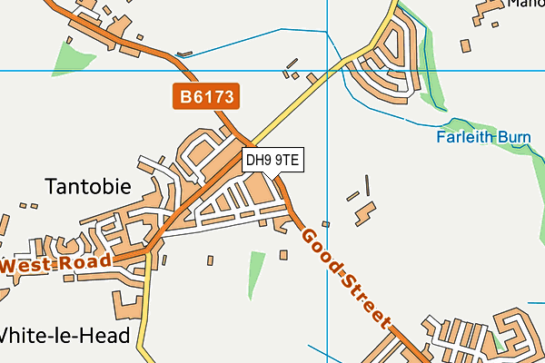 DH9 9TE map - OS VectorMap District (Ordnance Survey)
