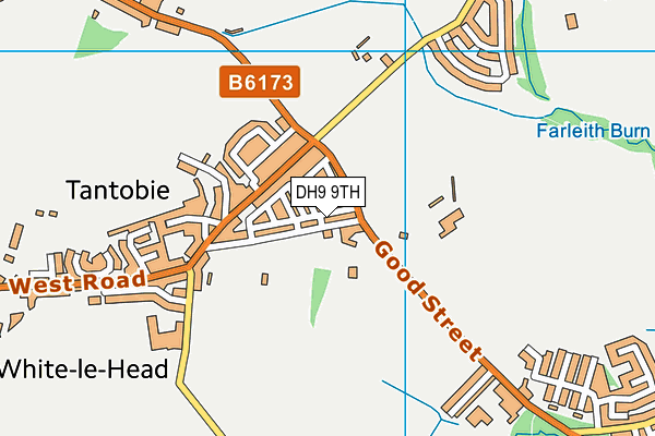 DH9 9TH map - OS VectorMap District (Ordnance Survey)