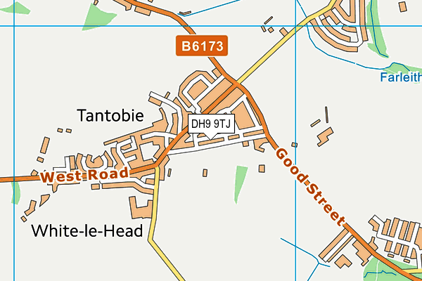 Tantobie Cricket Club map (DH9 9TJ) - OS VectorMap District (Ordnance Survey)