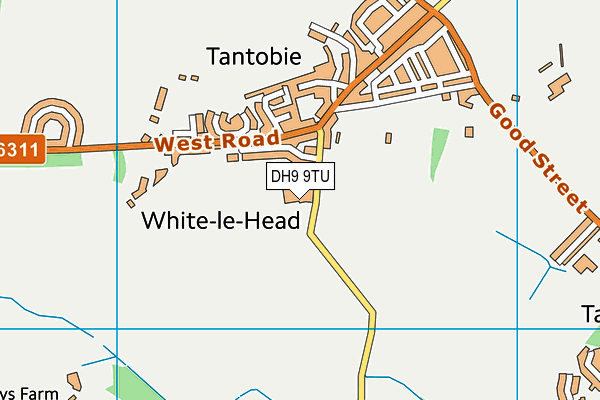 DH9 9TU map - OS VectorMap District (Ordnance Survey)