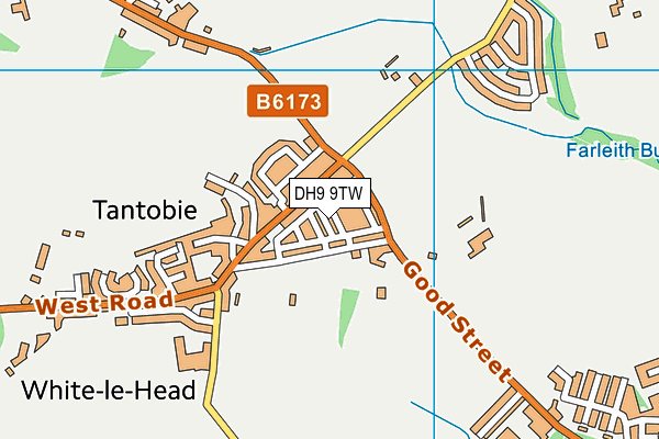 DH9 9TW map - OS VectorMap District (Ordnance Survey)