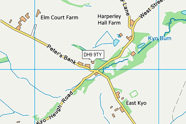 DH9 9TY map - OS VectorMap District (Ordnance Survey)