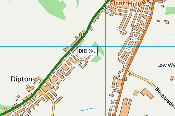 DH9 9XL map - OS VectorMap District (Ordnance Survey)