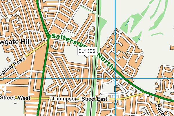 DL1 3DS map - OS VectorMap District (Ordnance Survey)