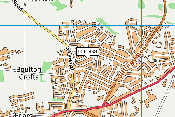 DL10 4NS map - OS VectorMap District (Ordnance Survey)