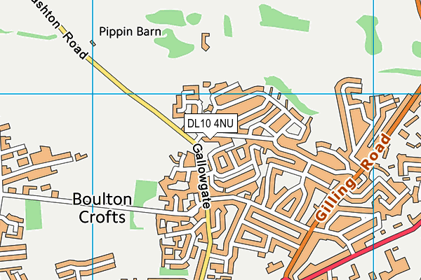 DL10 4NU map - OS VectorMap District (Ordnance Survey)