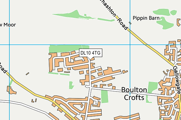 DL10 4TG map - OS VectorMap District (Ordnance Survey)