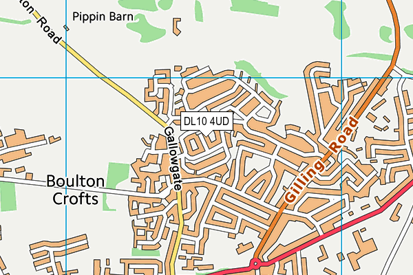 DL10 4UD map - OS VectorMap District (Ordnance Survey)
