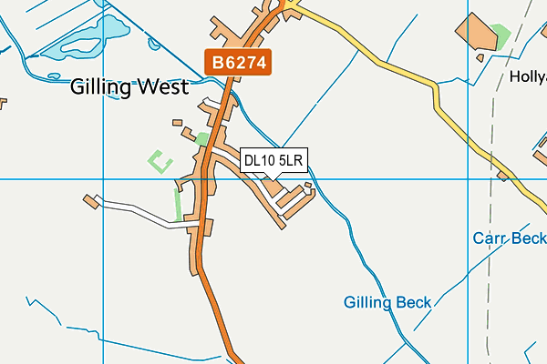 DL10 5LR map - OS VectorMap District (Ordnance Survey)