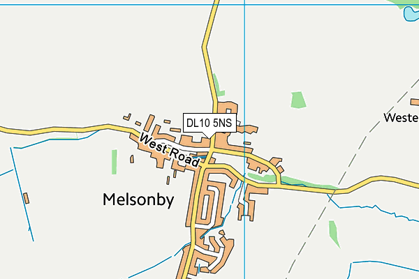 DL10 5NS map - OS VectorMap District (Ordnance Survey)