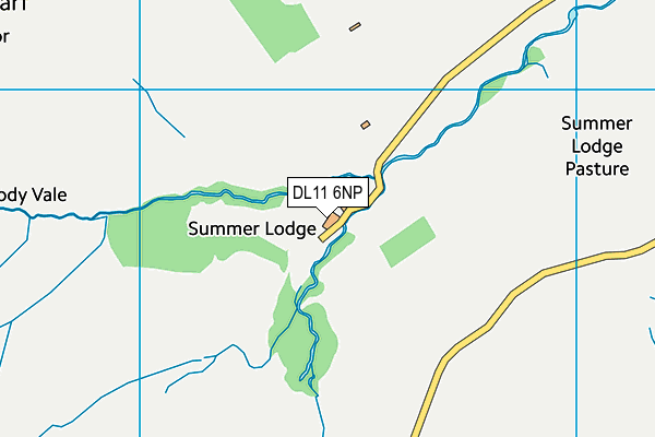 DL11 6NP map - OS VectorMap District (Ordnance Survey)