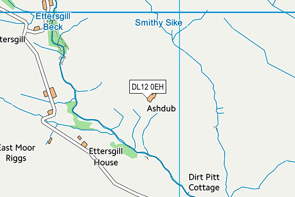 DL12 0EH map - OS VectorMap District (Ordnance Survey)