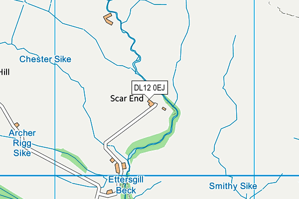 DL12 0EJ map - OS VectorMap District (Ordnance Survey)