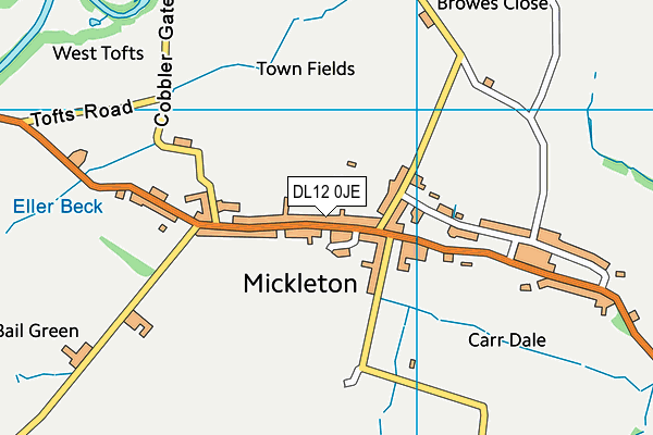 DL12 0JE map - OS VectorMap District (Ordnance Survey)