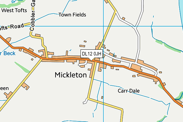 DL12 0JH map - OS VectorMap District (Ordnance Survey)