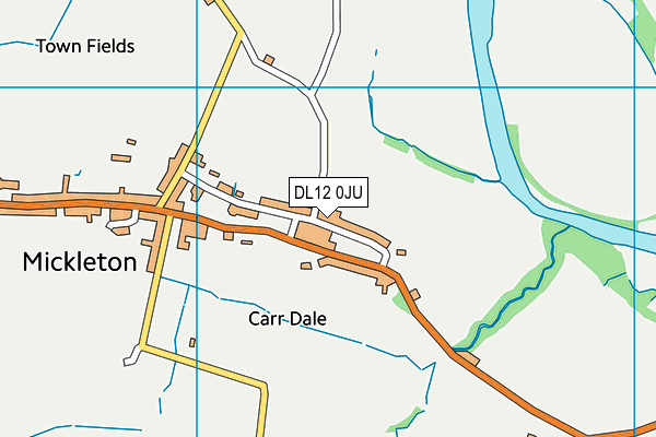 DL12 0JU map - OS VectorMap District (Ordnance Survey)