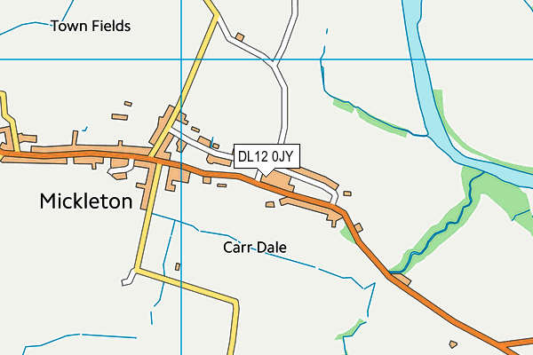 DL12 0JY map - OS VectorMap District (Ordnance Survey)