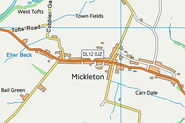 DL12 0JZ map - OS VectorMap District (Ordnance Survey)