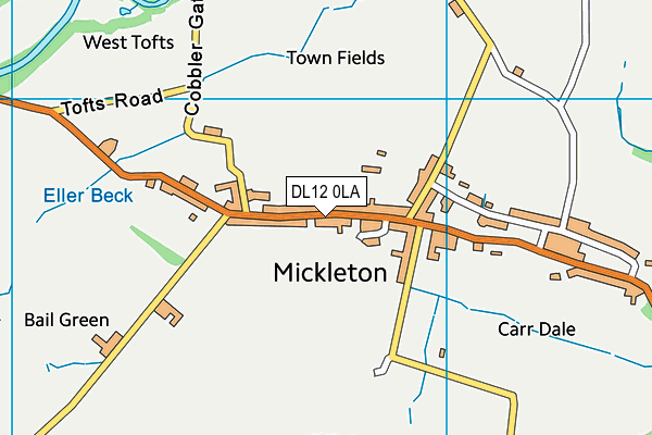 DL12 0LA map - OS VectorMap District (Ordnance Survey)