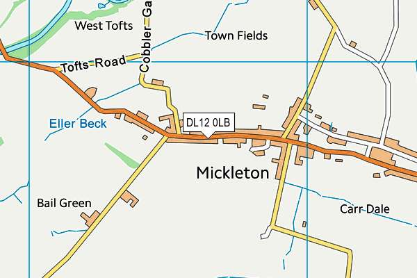 DL12 0LB map - OS VectorMap District (Ordnance Survey)