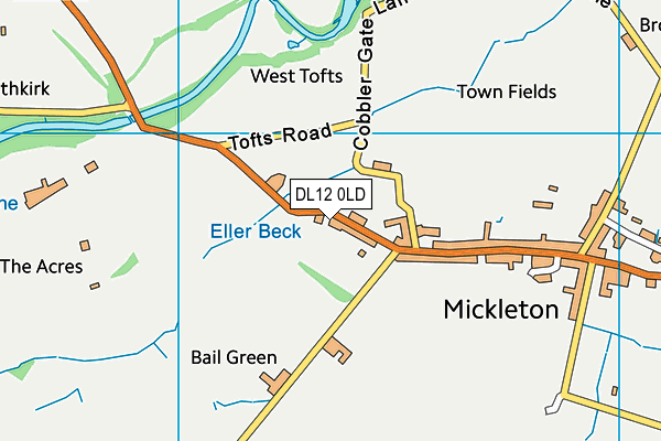 DL12 0LD map - OS VectorMap District (Ordnance Survey)