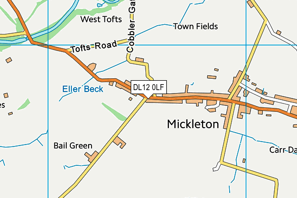 DL12 0LF map - OS VectorMap District (Ordnance Survey)