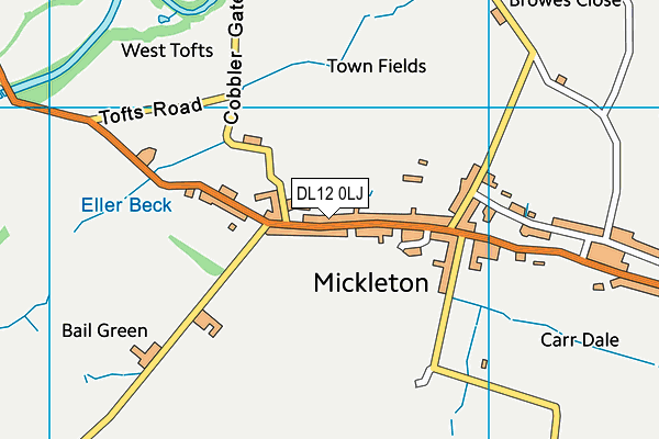 DL12 0LJ map - OS VectorMap District (Ordnance Survey)