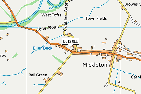 DL12 0LL map - OS VectorMap District (Ordnance Survey)