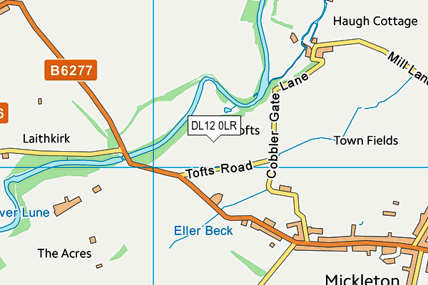 DL12 0LR map - OS VectorMap District (Ordnance Survey)