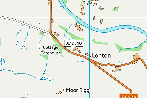 DL12 0NG map - OS VectorMap District (Ordnance Survey)