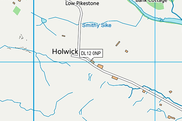 DL12 0NP map - OS VectorMap District (Ordnance Survey)